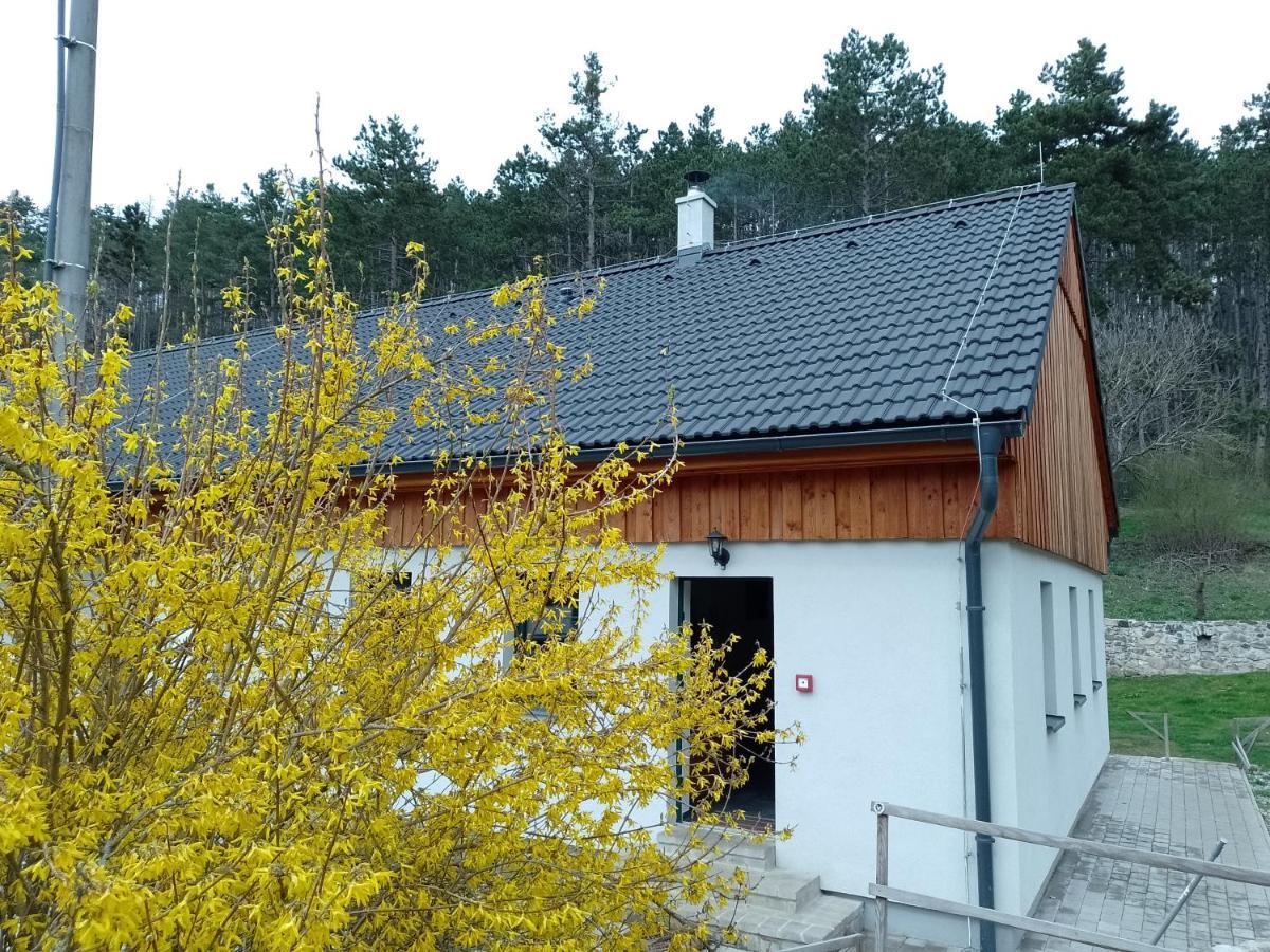Penzion Litohlavy 17 - Na Samote U Lesa Králŭv Dvŭr 외부 사진